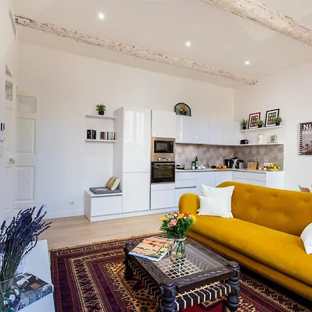 St Vincent - 3 Bedrooms, Magnificent,vaste, Sunny, A/c, Wifi * Νίκαια